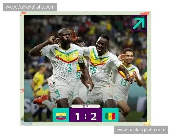 2010年世界杯全队球员名单及精彩表现回顾与赛场分析