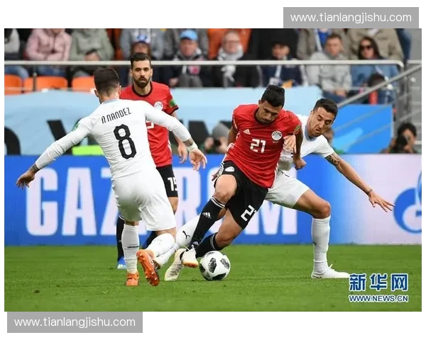 回顾2018年俄罗斯足球世界杯精彩瞬间与历史意义深度解析全面